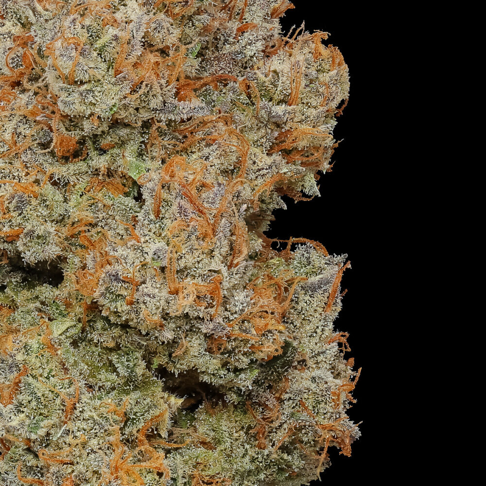 Austin Haze Hemp Flower - Image 4