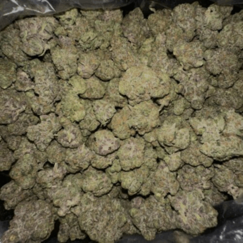 Apple Fritter Strain