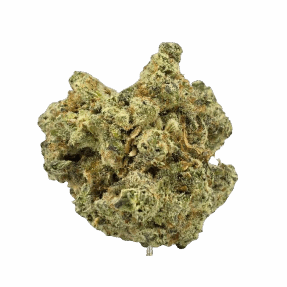 Sunset Sherbet Strain