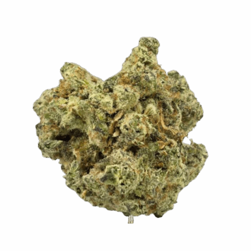 Sunset Sherbet Strain