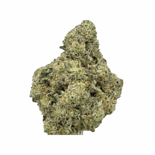 White Fire OG Strain