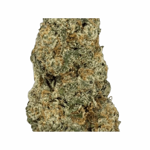Cookie Monster Strain