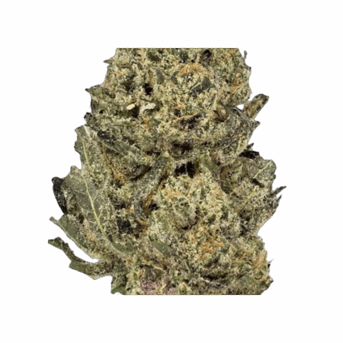 Mango Sherbert Strain​