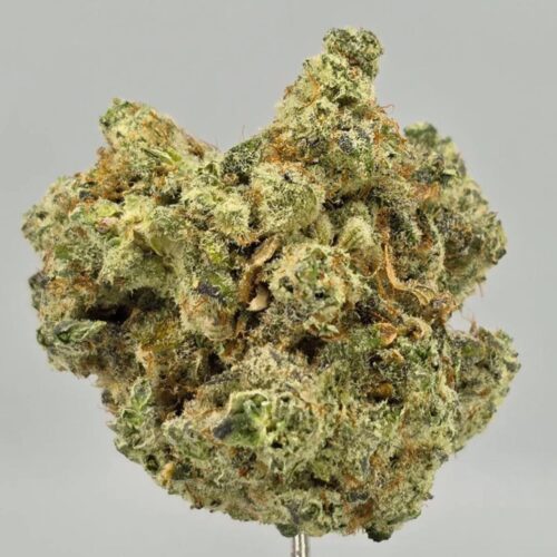 Sunset Sherbet Strain