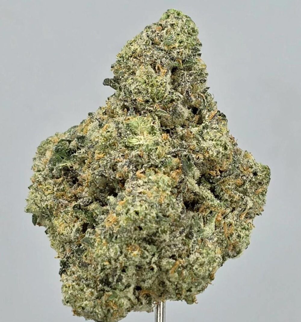 White Fire OG Strain