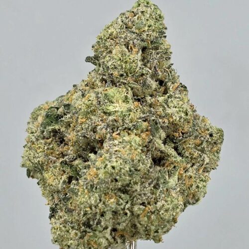 White Fire OG Strain