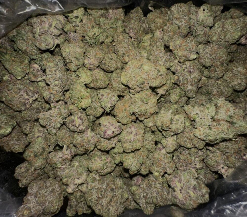 Apple Fritter Strain