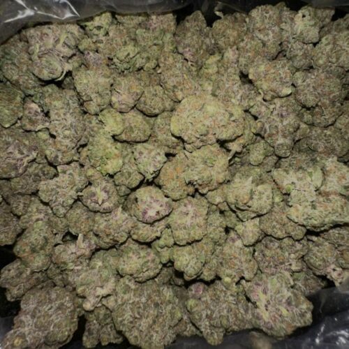 Apple Fritter Strain