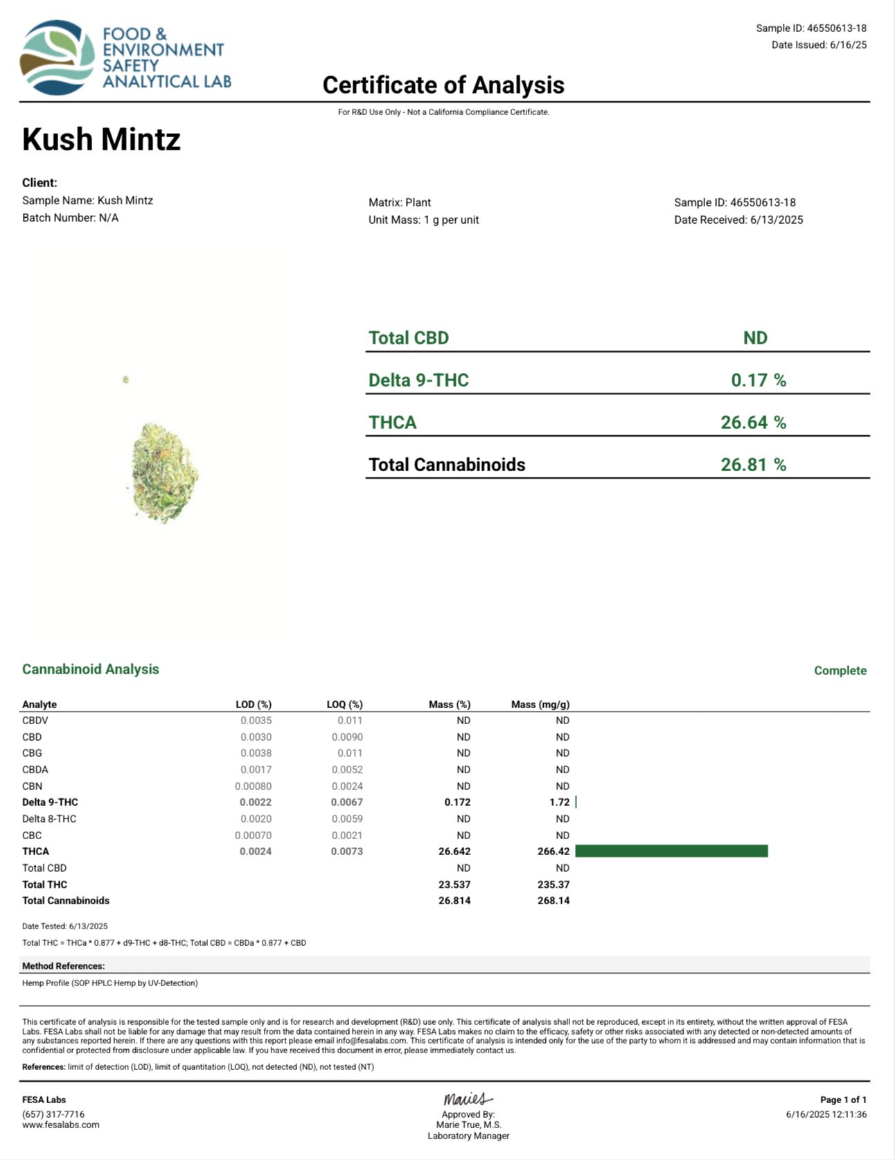 Kush Mintz